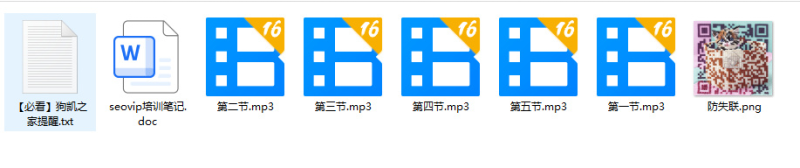 VIP课程-SEO优化教程-东南兔资源站